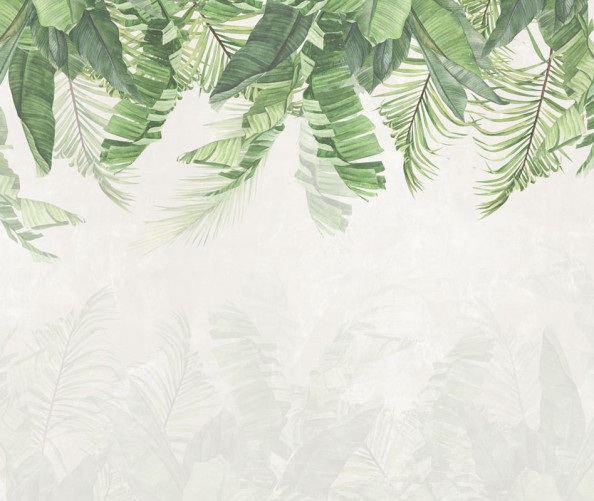 Фотообои Дизайнерские листья сверху