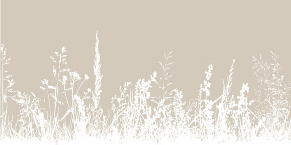 Фотообои Трава