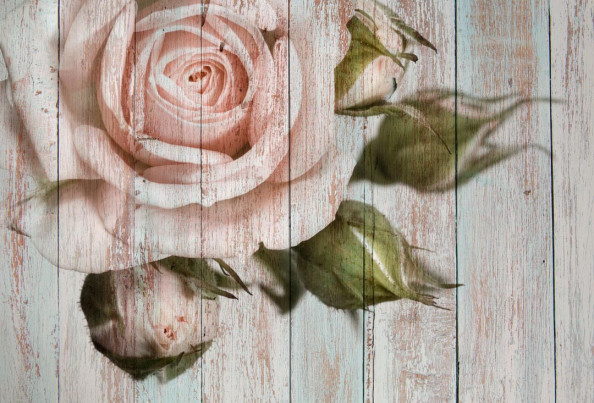 Фотообои Роза на фоне досок