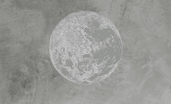 Фотообои Серая монохромная планета