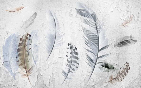 Фотообои Перья на фоне штукатурки