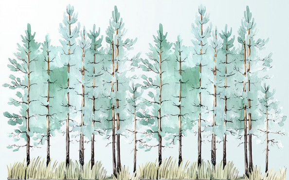 Фотообои  Акварельный лес