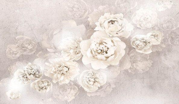 Фотообои пионы